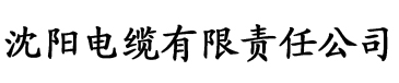 中文字幕无码人妻在线二区电缆厂logo